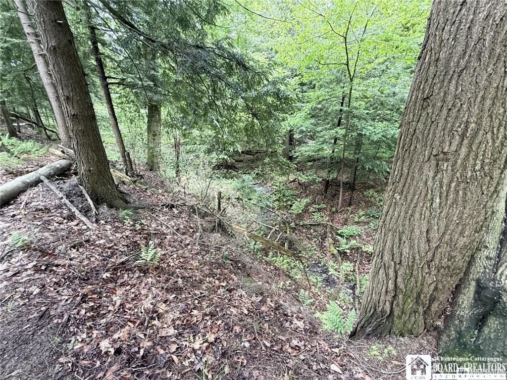 0 Luce Road Bemus Point, NY 14712 - Photo 24 of 39