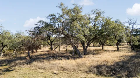 $325,000 | 204 East Rio Rnch Road, Liberty Hill, TX 78642