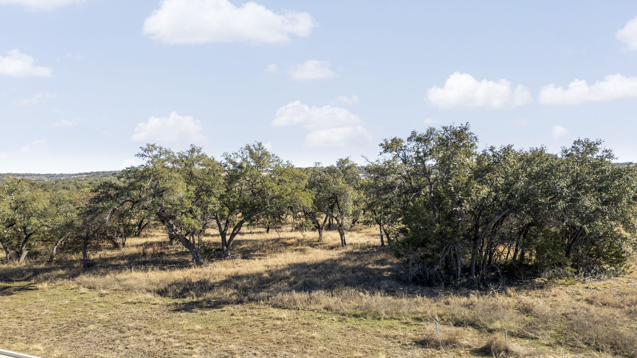 204 East Rio Rnch Road Liberty Hill, TX 78642 - Photo 2 of 17 View of undeveloped land featuring rural landscape