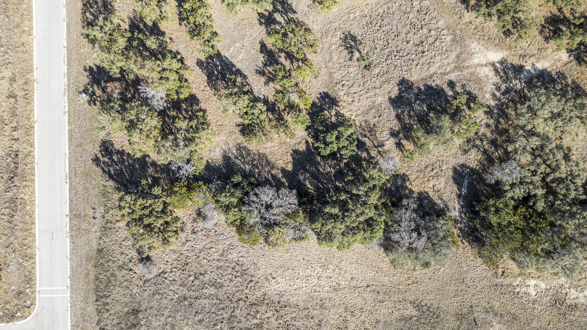 204 East Rio Rnch Road Liberty Hill, TX 78642 - Photo 8 of 17 Aerial view of property and surrounding area