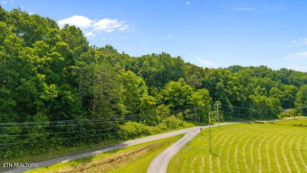 1913 Dry Fork Valley Road Philadelphia, TN 37846 - Photo 2 of 12 IMG_5766