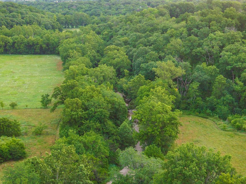 13277 Norris Road Rayville, MO 64084 - Photo 9 of 55