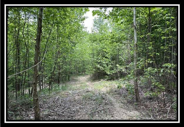 167 Weaver Road, Unit TRACT A) Chillicothe, OH 45601 - Photo 35 of 45 image035