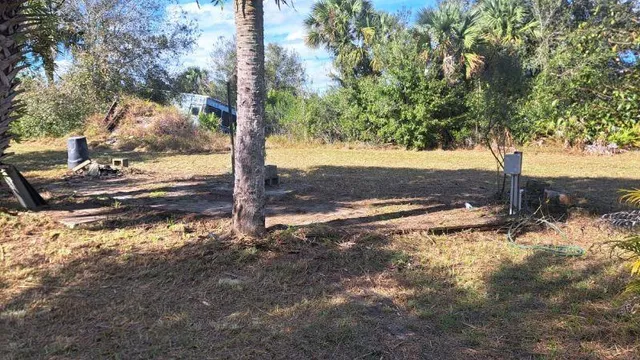 a view of a yard with an trees