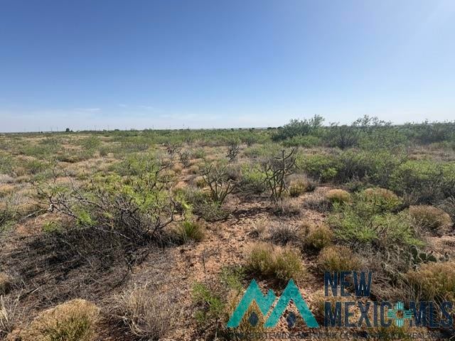 48 State Road 203 Fort Sumner, NM 88119 - Photo 7 of 17 Gallery Image 7