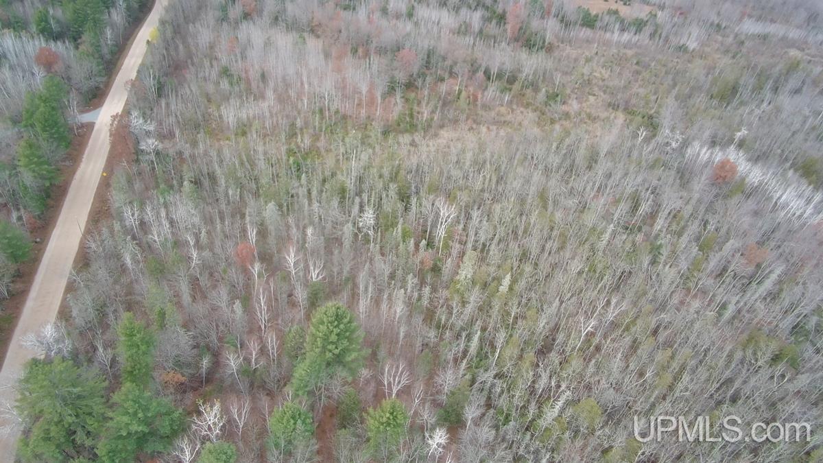 11.4-acres Barker Road Amberg, WI 54102 - Photo 12 of 14 Gallery Image 12