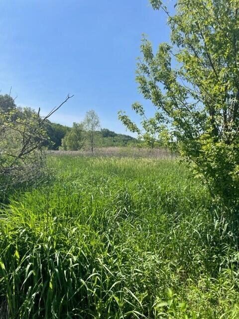 300 West Joliet Road Valparaiso, IN 46385 - Photo 16 of 25 480x640