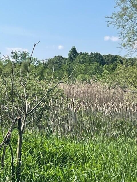 300 West Joliet Road Valparaiso, IN 46385 - Photo 18 of 25 480x640