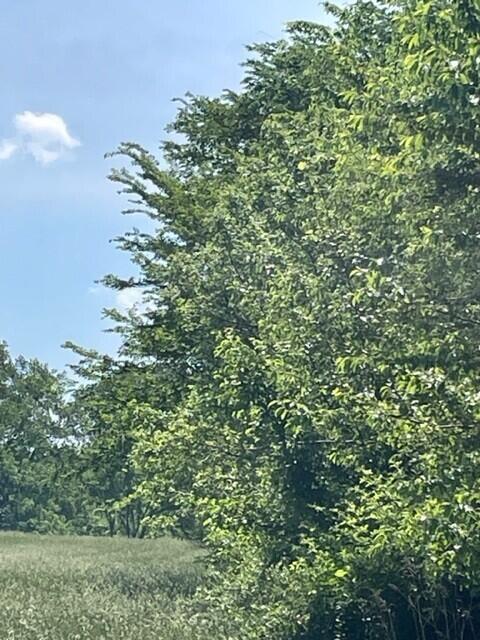 300 West Joliet Road Valparaiso, IN 46385 - Photo 21 of 25 480x640