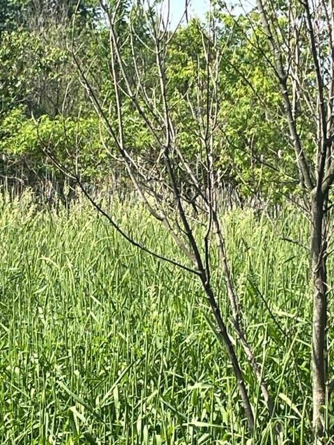 300 West Joliet Road Valparaiso, IN 46385 - Photo 22 of 25 480x640