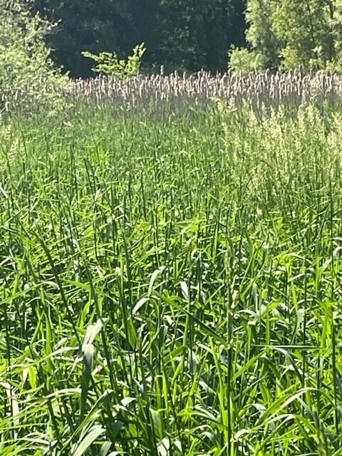 300 West Joliet Road Valparaiso, IN 46385 - Photo 23 of 25 480x640