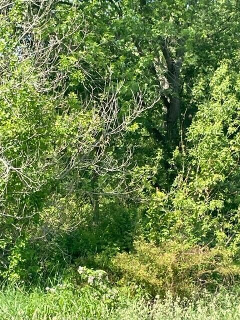 300 West Joliet Road Valparaiso, IN 46385 - Photo 24 of 25 480x640