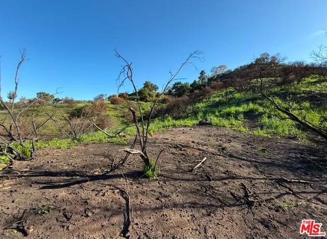 a view of a lush green field