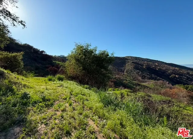 a view of a yard with plants