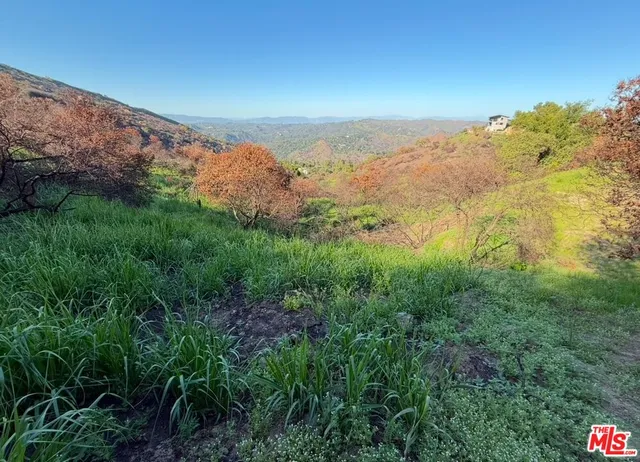 a view of a yard with a mountain