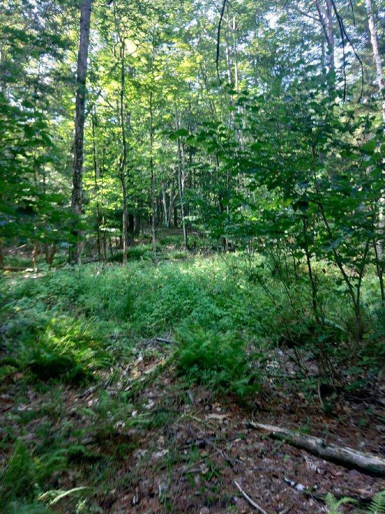 0 Curtis Road Freeport, ME 04032 - Photo 22 of 25 KIMG0791