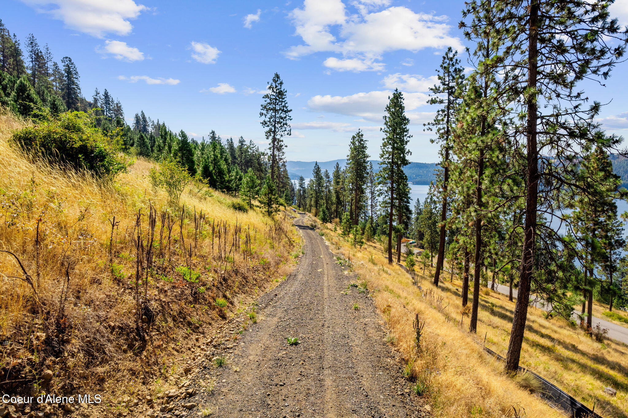 Nna South Nna S Hearthstone Road Harrison, ID 83833 - Photo 5 of 20 42-web-or-mls-Harrison Land-42
