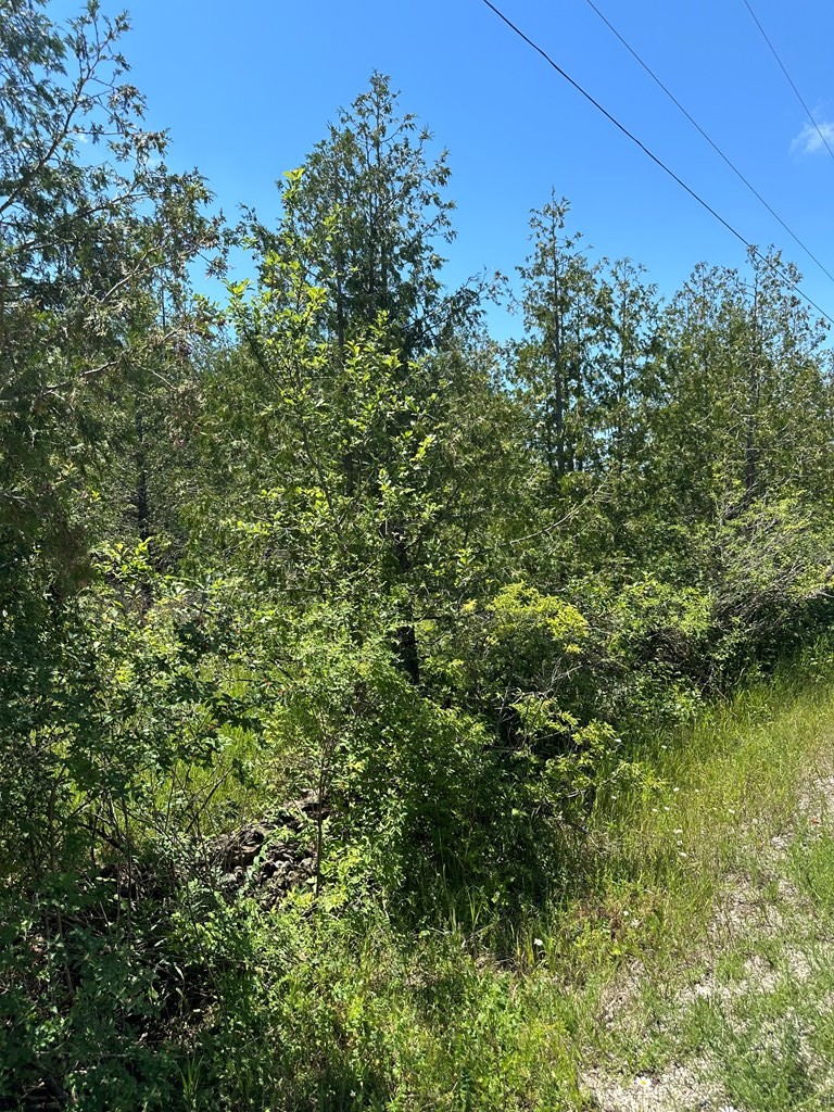 Lot #2 Cedar Ridge Road Sister Bay, WI 54234 - Photo 5 of 6 Gallery Image 5