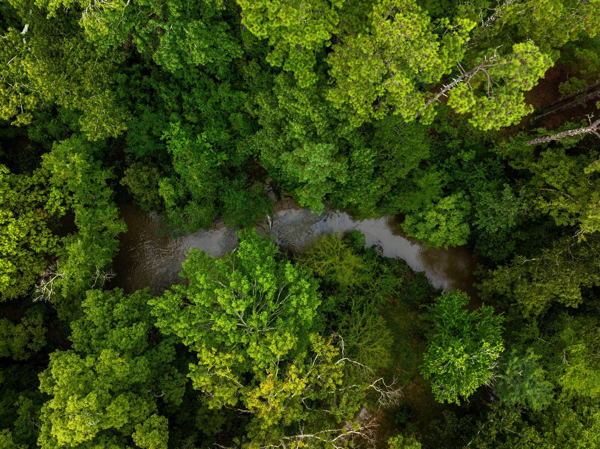 5601 East State Line Road Chattanooga, TN 37412 - Photo 52 of 64 24-web-or-mls-DJI_20250812142916_0474_D-