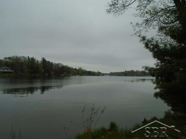 Vl Oakridge Road Beaverton, MI 48612 - Photo 5 of 7