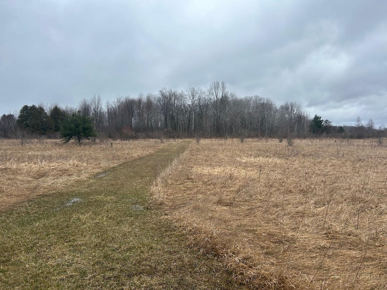 2440 3 Rivers Road Gladwin, MI 48624 - Photo 5 of 11