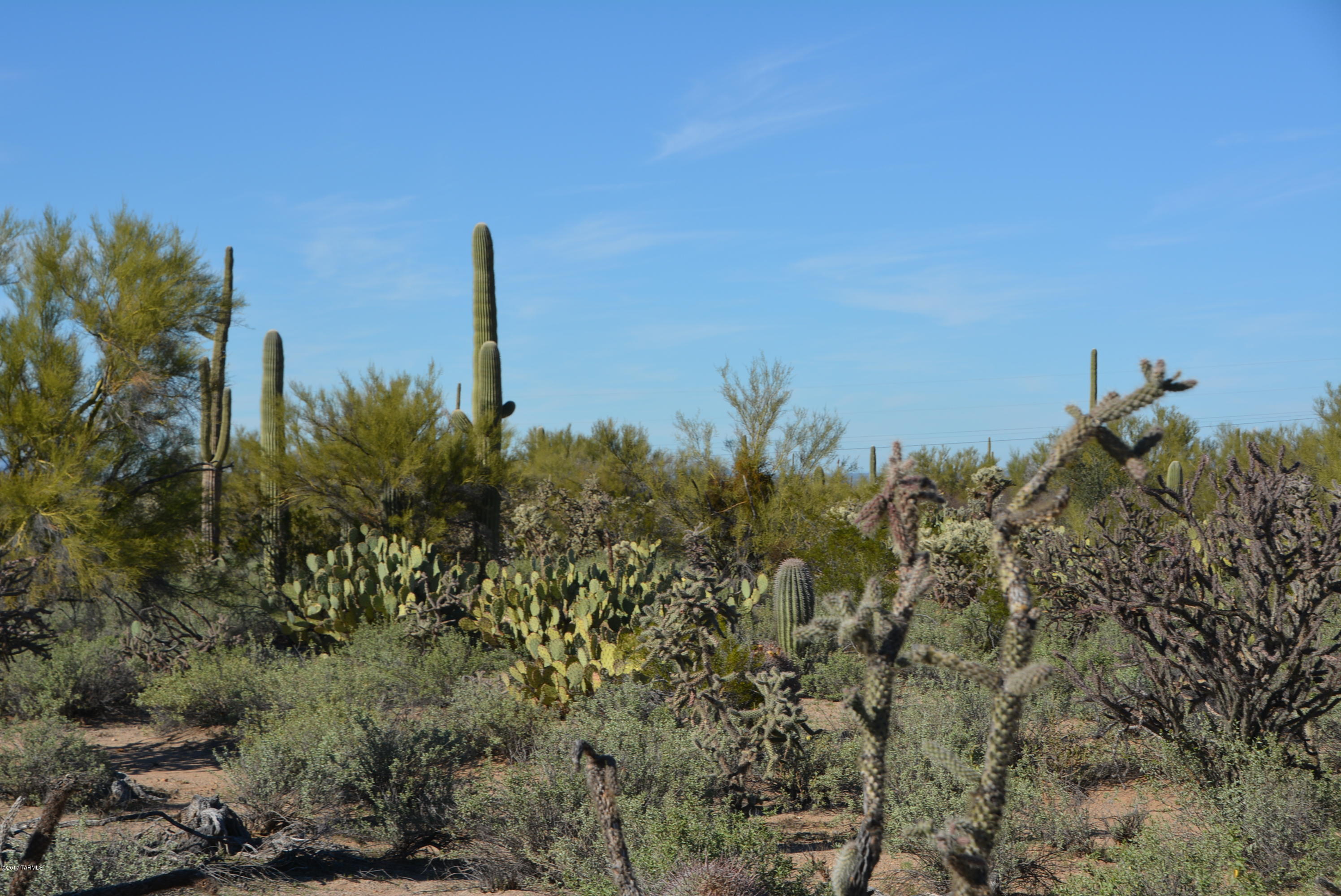 11700 West Rudasill Road, Unit LOT 4 Tucson, AZ 85743 - Photo 23 of 33