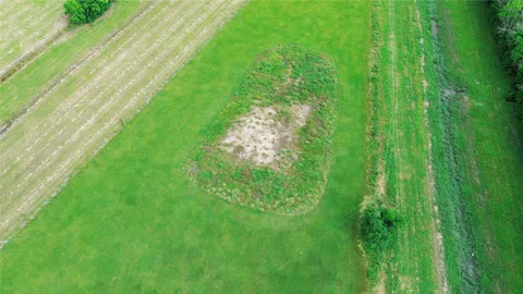 $500,000 | 8205 County Road 605, Dayton, TX 77535