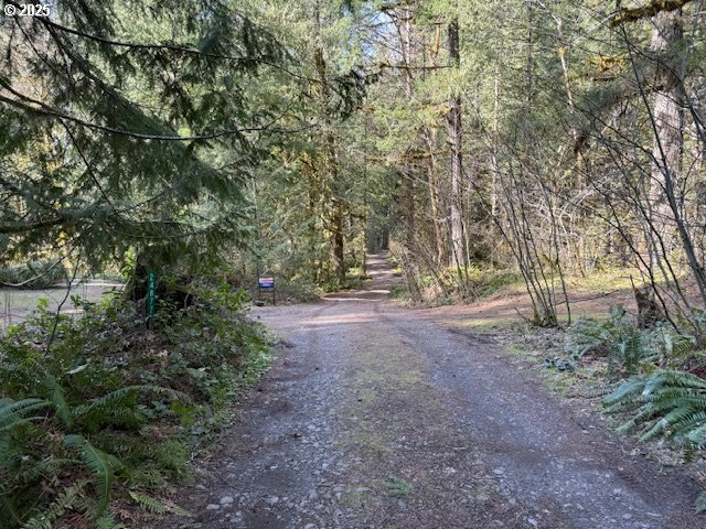 24877 East Section Line Road Rhododendron, OR 97049 - Photo 27 of 28 Driveway