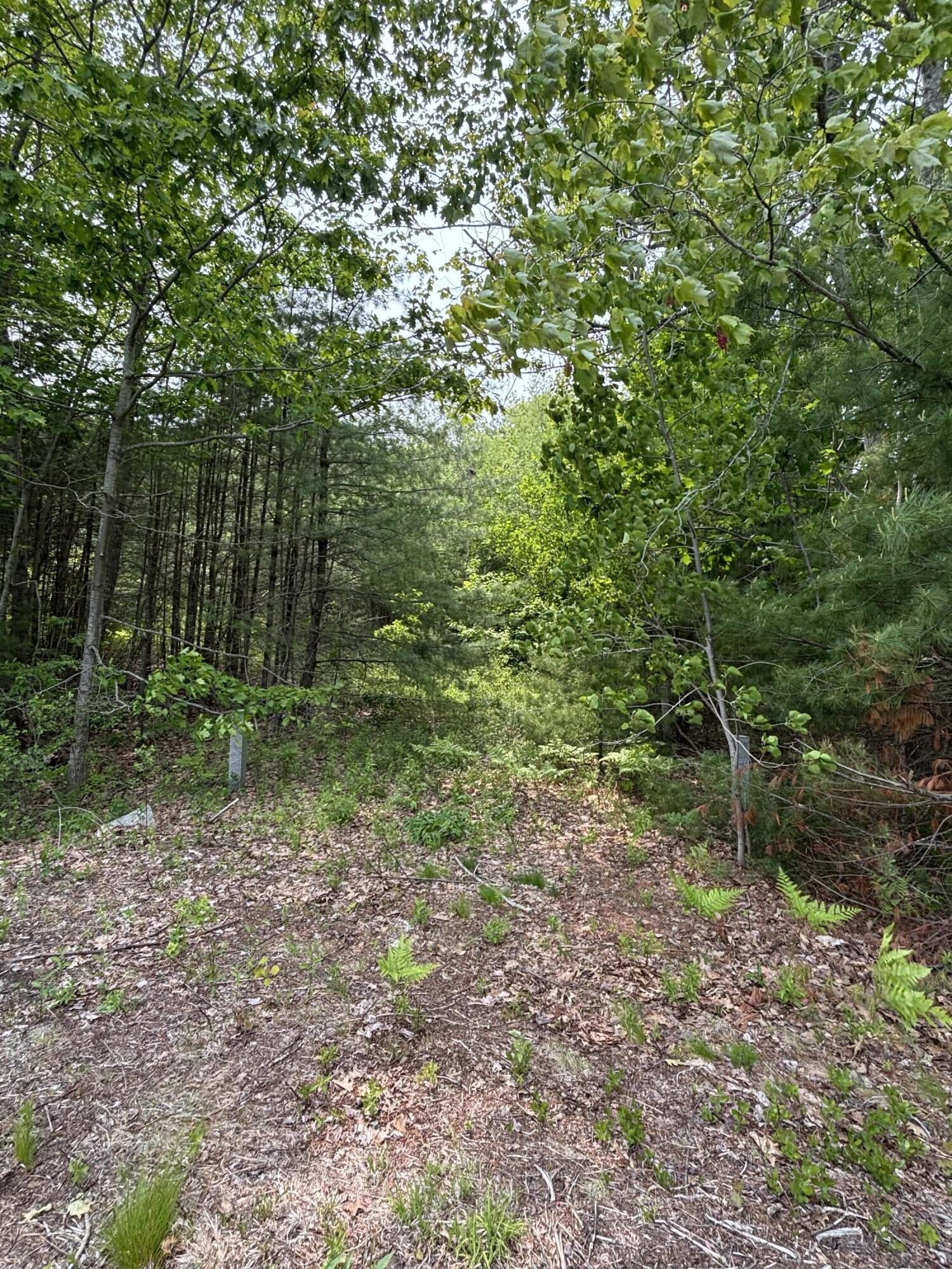 700 Pool Street Biddeford, ME 04005 - Photo 3 of 6 IMG_0386