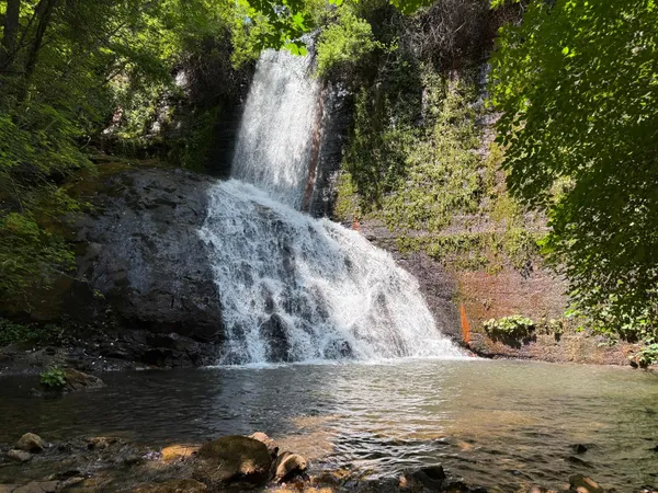 $299,000 | 16941 Weeds Point Road, Camptonville, CA 95922