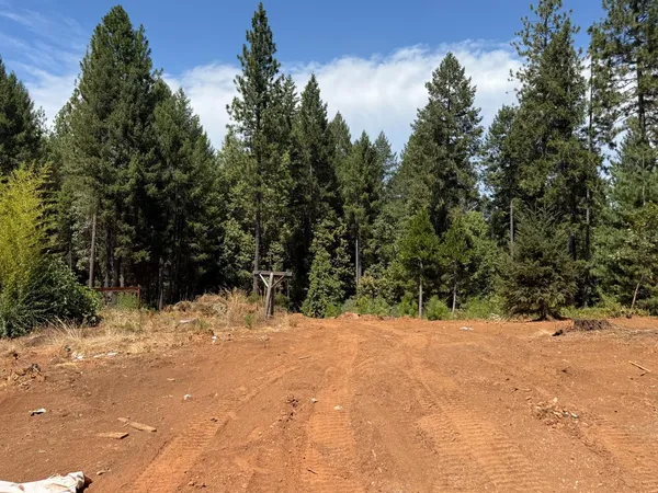 $299,000 | 16941 Weeds Point Road, Camptonville, CA 95922