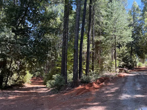$299,000 | 16941 Weeds Point Road, Camptonville, CA 95922