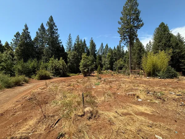 $299,000 | 16941 Weeds Point Road, Camptonville, CA 95922