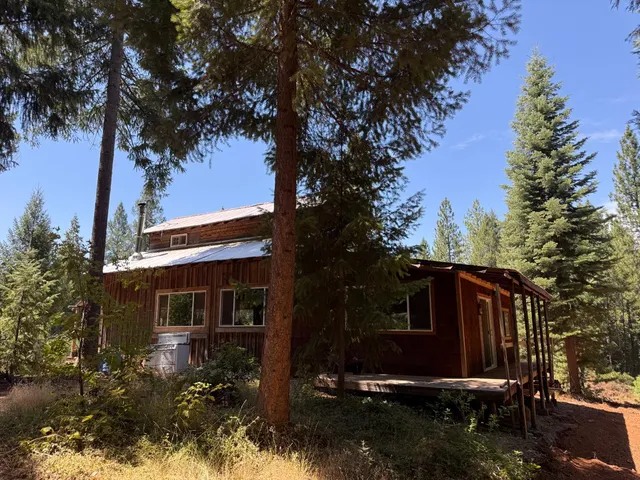 a view of a backyard with large trees and a small yard