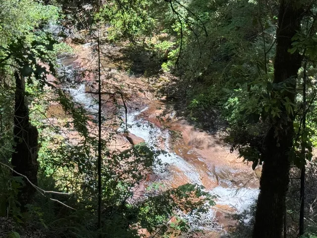 a view of a road with a yard