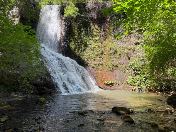 $299,000 | 16941 Weeds Point Road, Camptonville, CA 95922