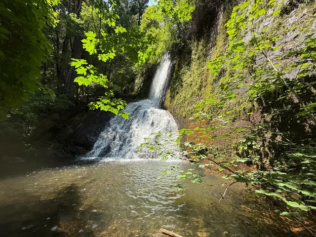 $299,000 | 16941 Weeds Point Road, Camptonville, CA 95922