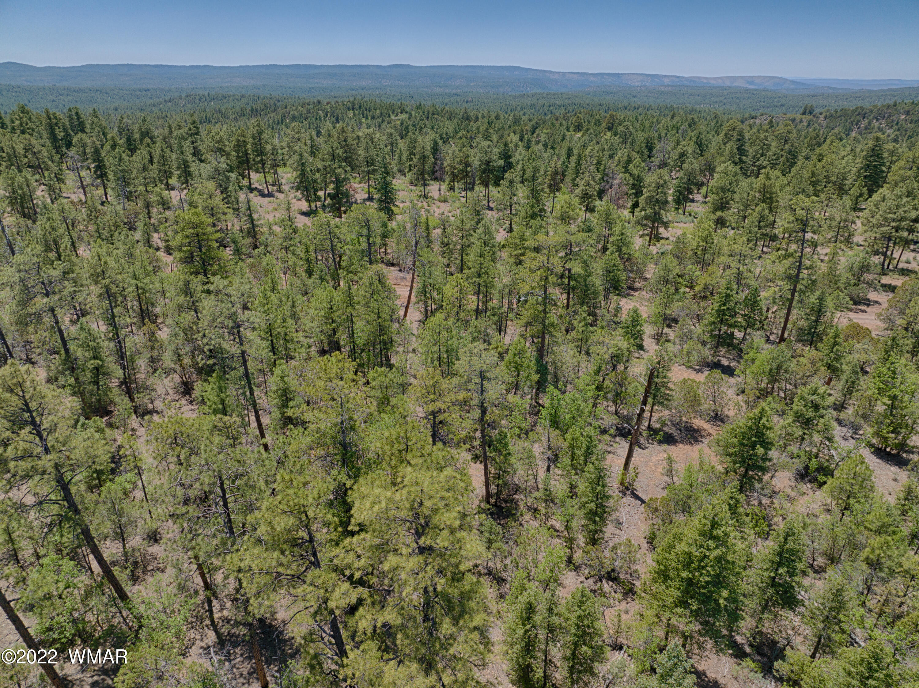 Tbd Tbd Rim Road Lakeside, AZ 85929 - Photo 1 of 10