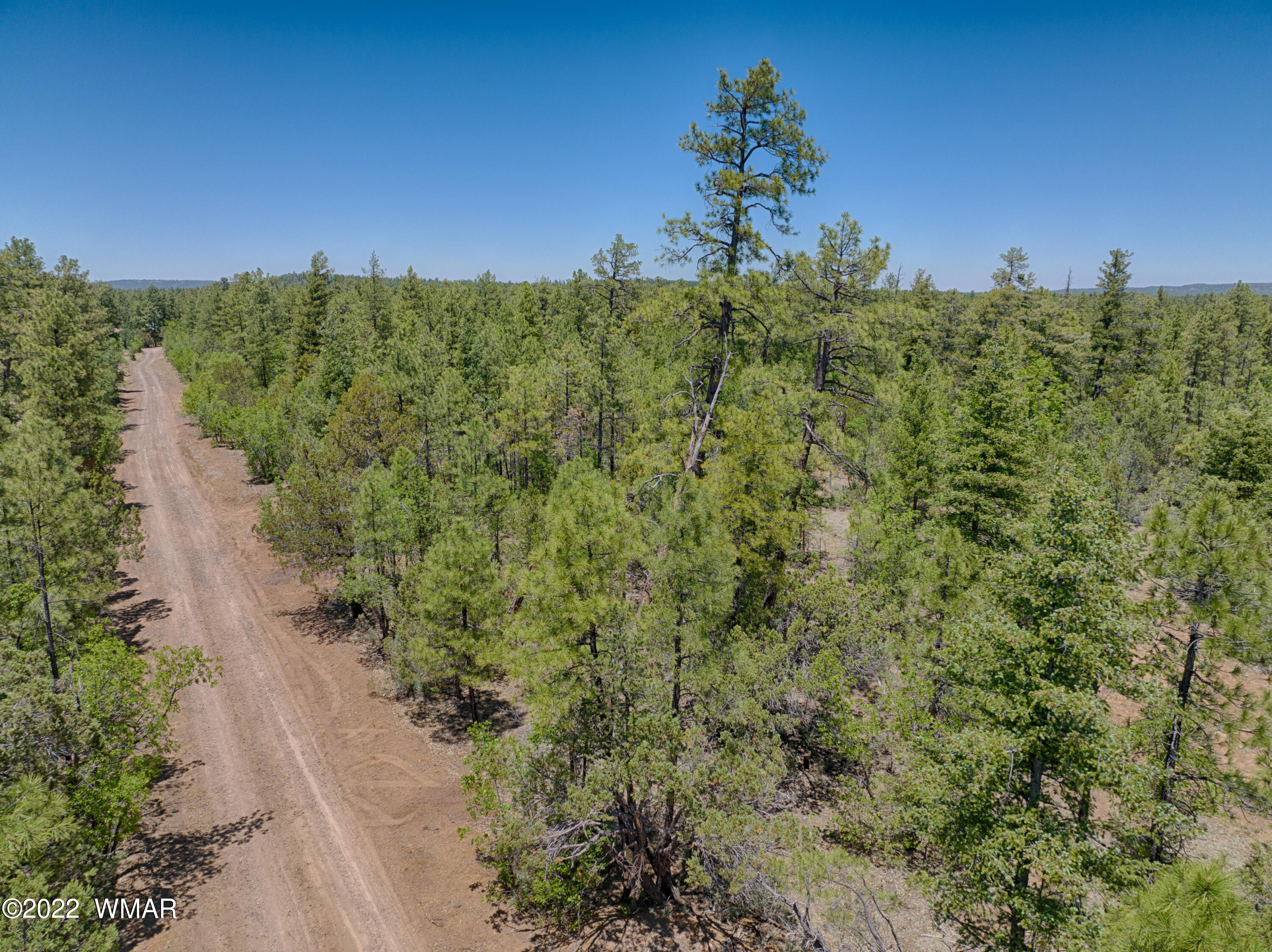 Tbd Tbd Rim Road Lakeside, AZ 85929 - Photo 2 of 10