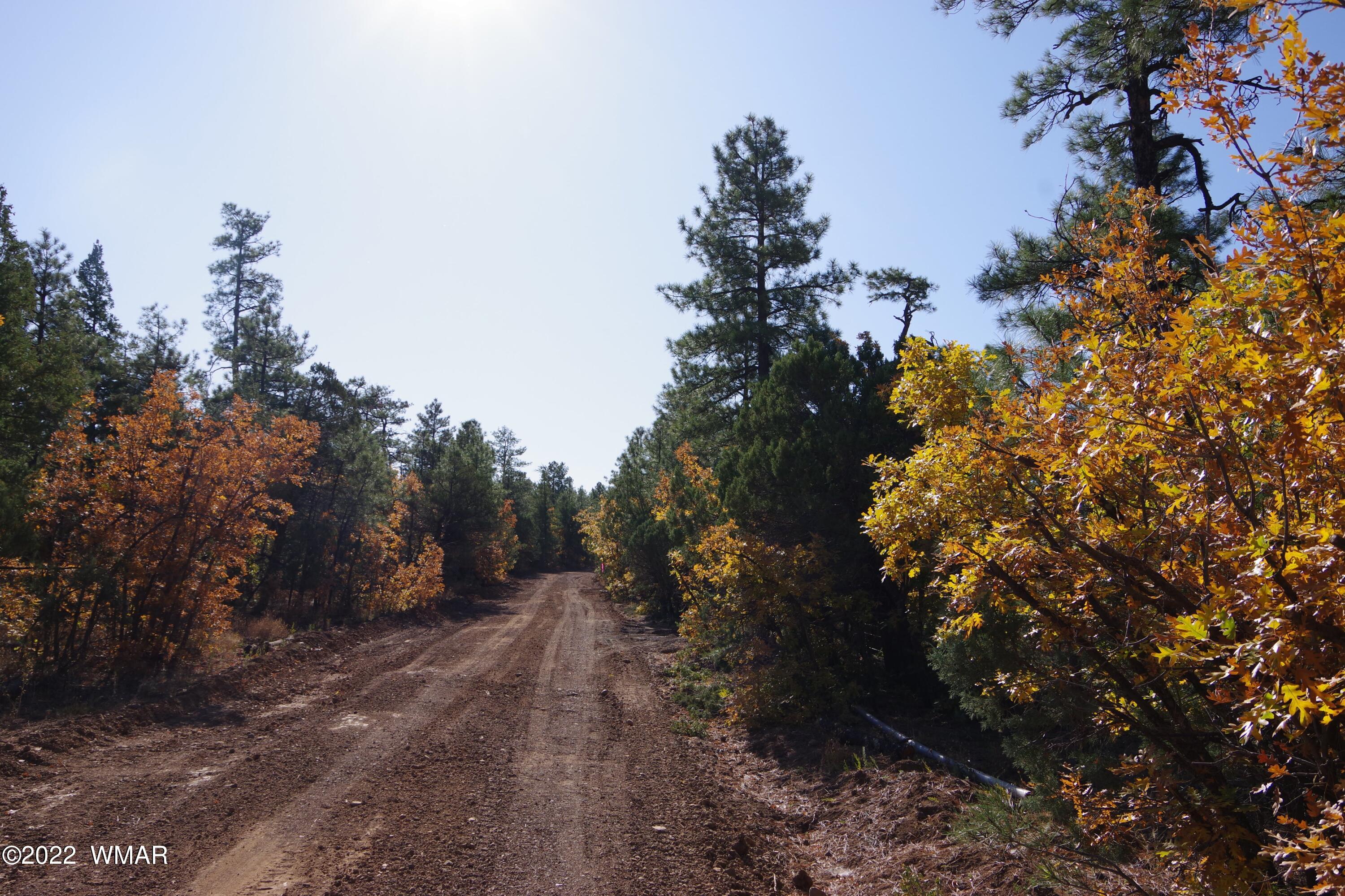 Tbd Tbd Rim Road Lakeside, AZ 85929 - Photo 4 of 10