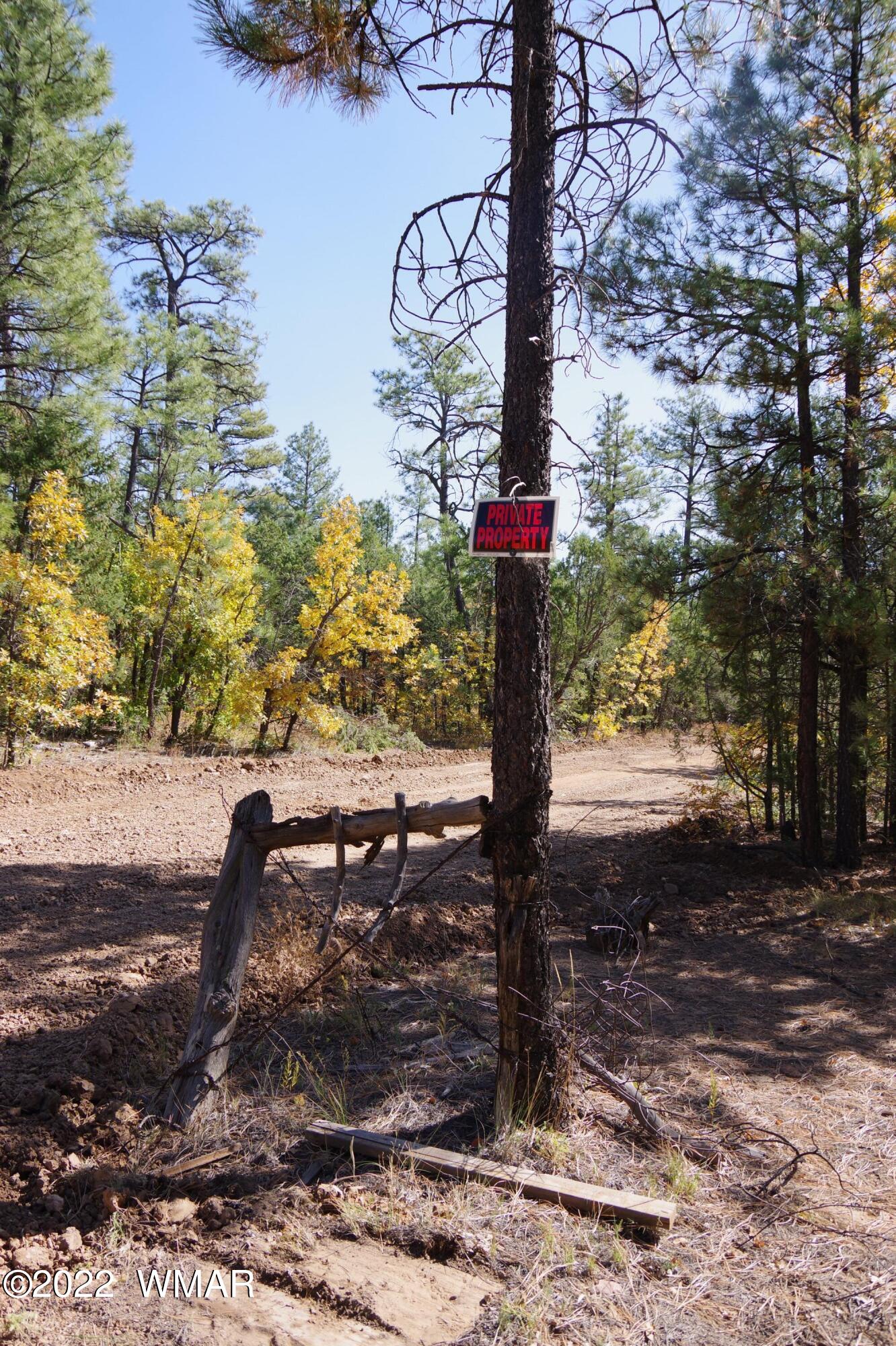 Tbd Tbd Rim Road Lakeside, AZ 85929 - Photo 5 of 10