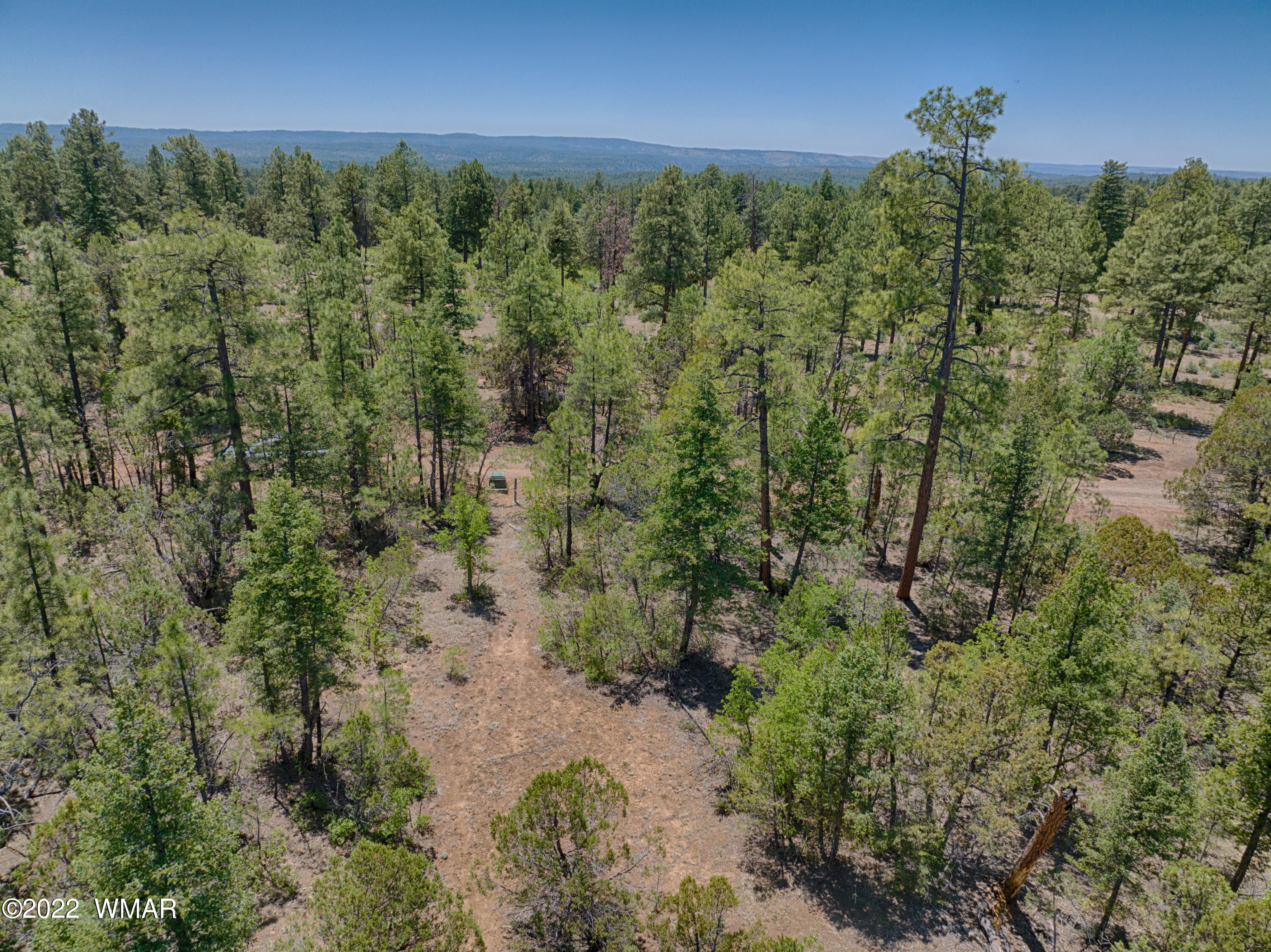 Tbd Tbd Rim Road Lakeside, AZ 85929 - Photo 8 of 10