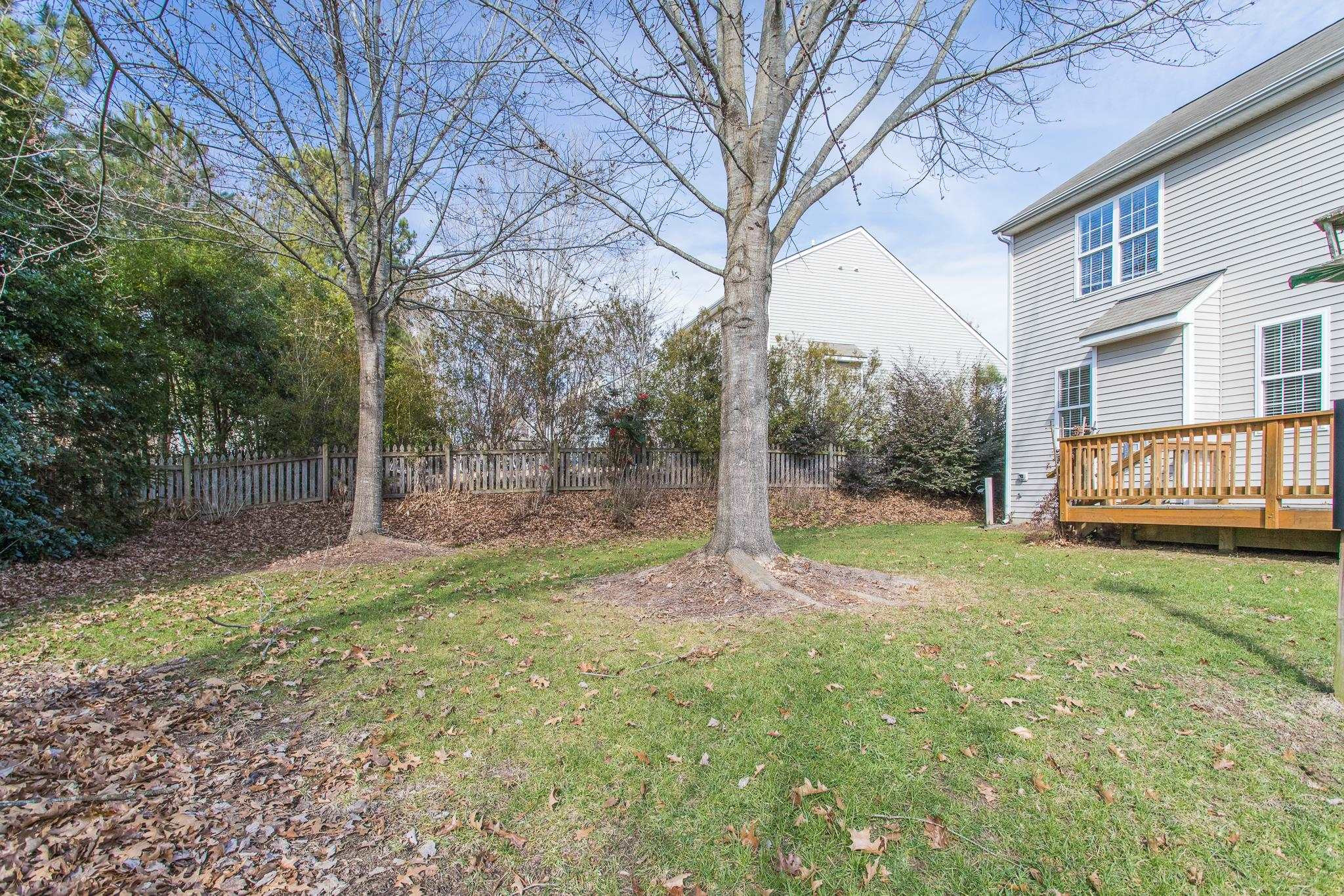 12509 Garden Tree Lane Raleigh, NC 27614 - Photo 3 of 20 Photo 3