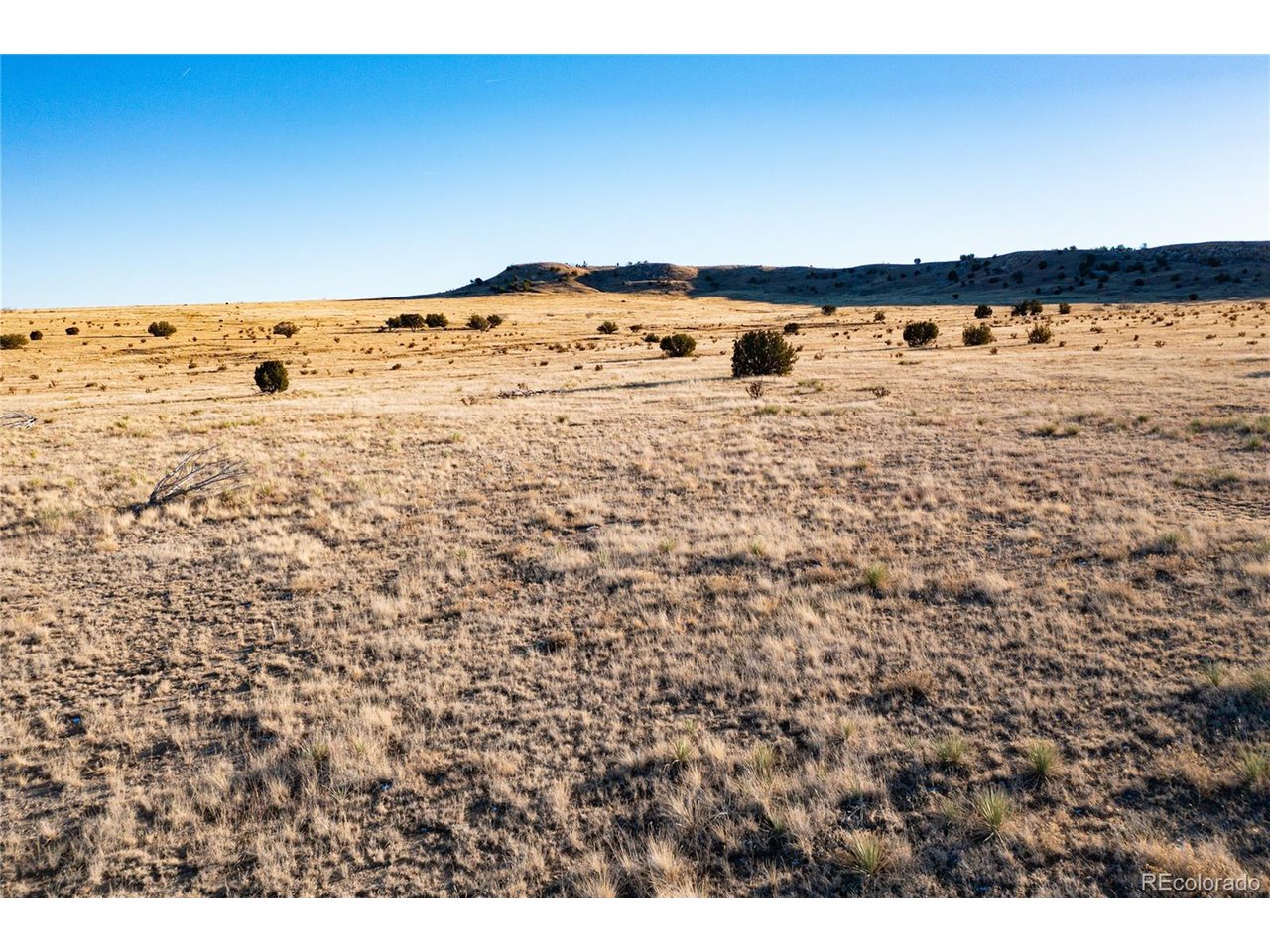 9 Las Animas Ranch Model, CO 81059 - Photo 11 of 41