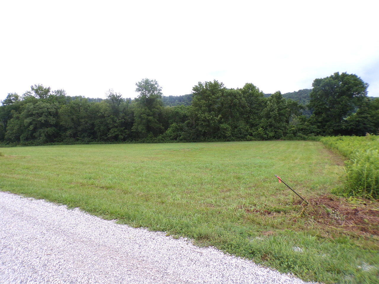 4 Desda-Wells Bottom Road Albany, KY 42602 - Photo 6 of 16 6