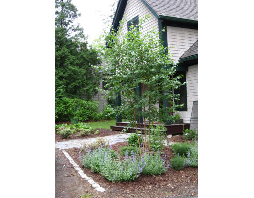 12 Newell Court Amherst, MA 01002 - Photo 3 of 9 a view of a backyard with plants