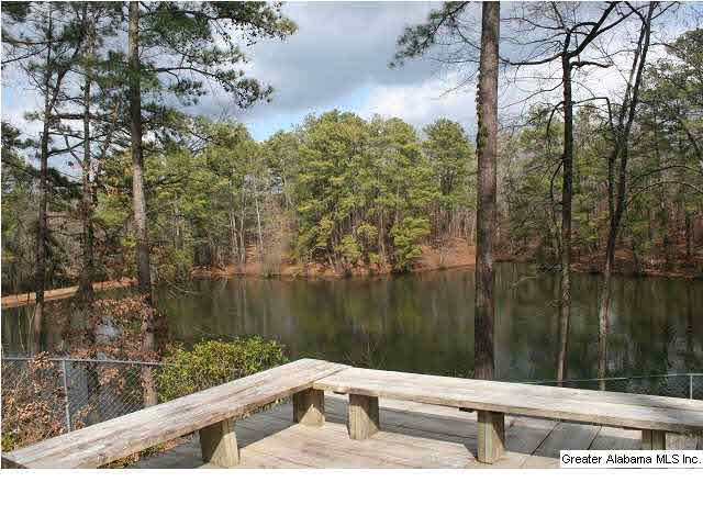 777 Carl Raines Lake Road Birmingham, AL 35244 - Photo 5 of 32