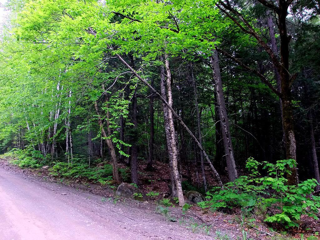 Lot 1 South Shore Road Houlton, ME 04730 - Photo 32 of 35 Photo