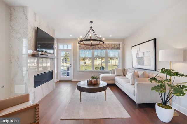 a living room with furniture potted plant and a fireplace