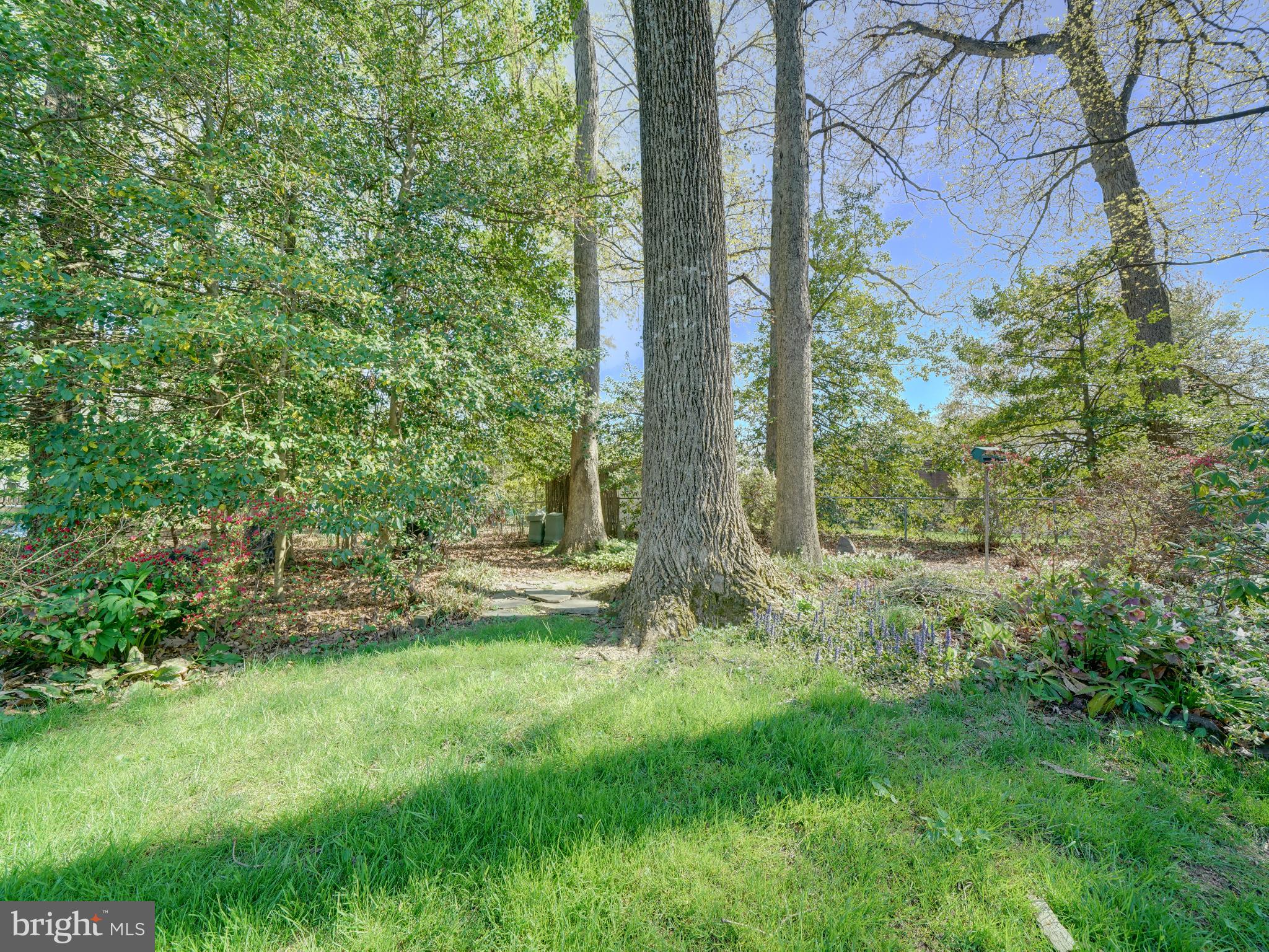 6111 Goodman Road Laurel, MD 20707 - Photo 64 of 70 Gallery Image 64